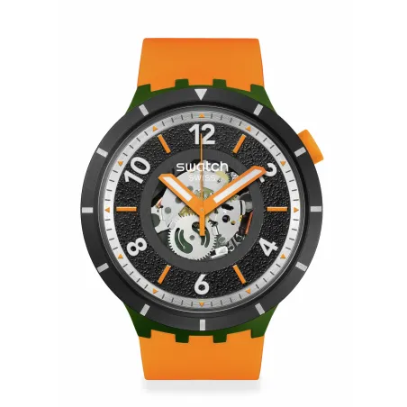 Swatch Power of Nature SB03G107 - FALL-IAGE