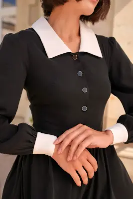 Ginny Collared Dress — photo 4