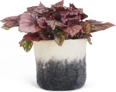 Cache-pot ombré en laine 14 cm – Aveva — photo 5