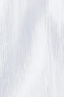 Longue chemise en coton - Blanc — photo 3