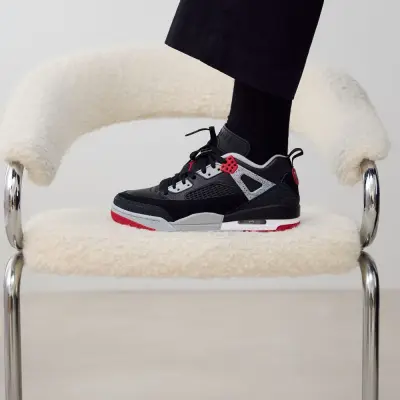 JORDAN SPIZIKE LOW — photo 5