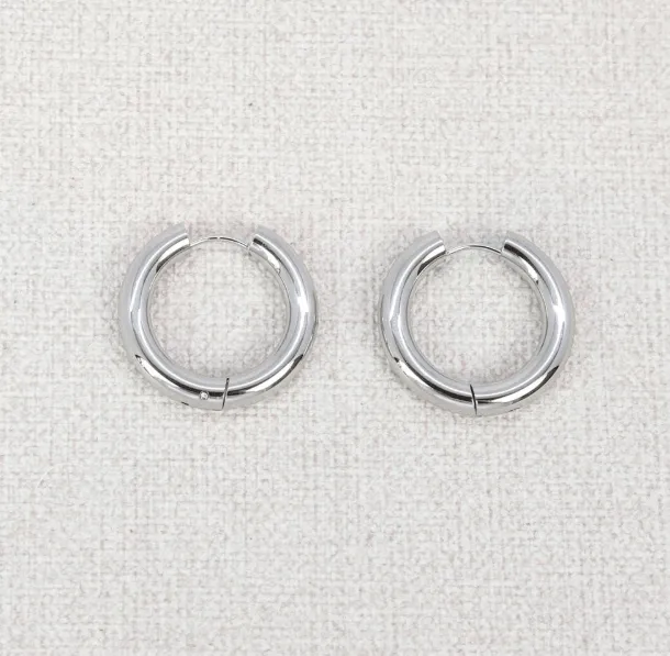 Boucles d'oreilles en acier inoxydable Terrence - Argenté