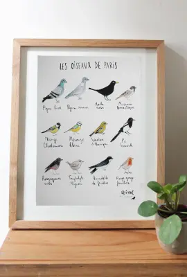 Affiche A5 Oiseaux de Paris – Ellimac Pinson