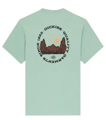 DICKIES TEE SHIRT IMPRIME DOS Vert — photo 3