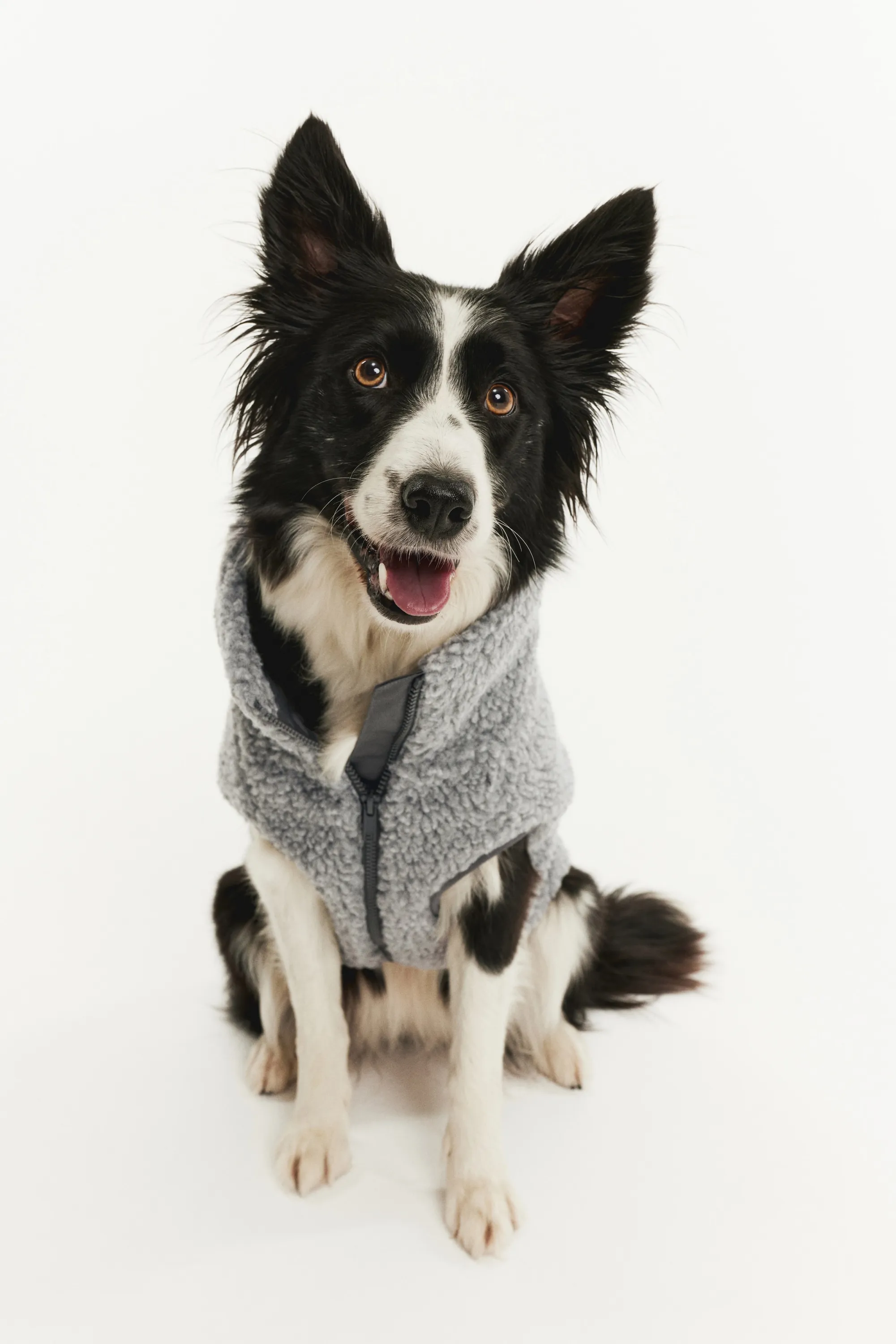 Veste pour chien en tissu Teddy bear - Gris clair