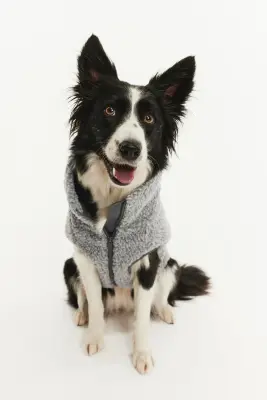 Veste pour chien en tissu Teddy bear - Gris clair — photo 1