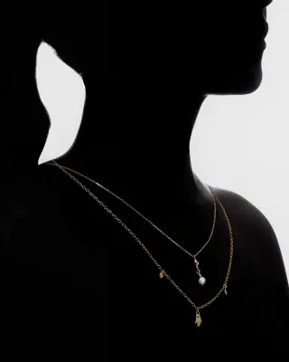 COLLIER DINA — photo 2