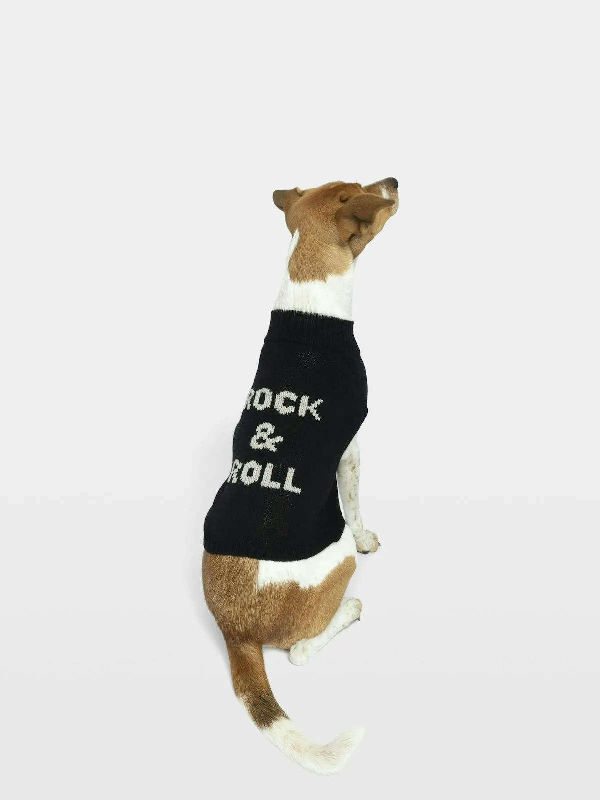 Pull Zadog 100% Laine Mérinos