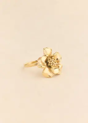 Bague Iz — photo 1