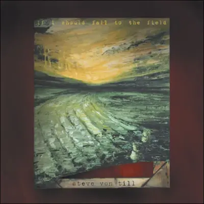 VON TILL, STEVE – if i should fall to the field – CD
