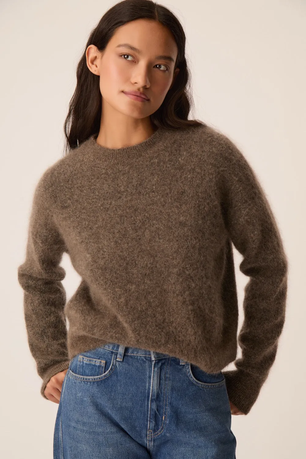 Pull Dimitri Loutre