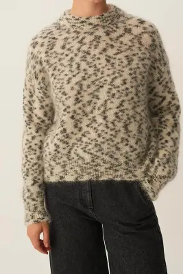 Pull Boleo Dalmatien — photo 1