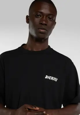DICKIES TEE SHIRT Imprimé Noir — photo 5