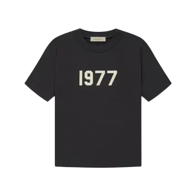 Fear Of God Essentials T-shirt 1977 Iron — photo 1