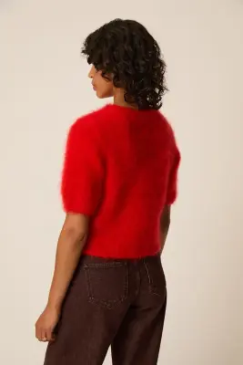 Pull Alexa Rouge — photo 5