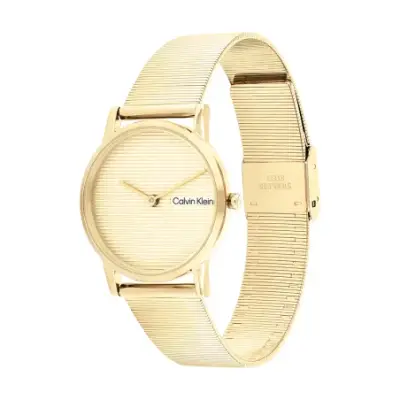 Montre Calvin Klein Timeless pour Femme 25100035 — photo 2