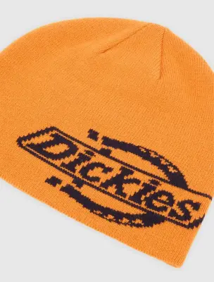 Bonnet Dickies Summerdale logo beanie – Pumpkin spice — photo 3