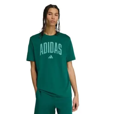 ADIDAS TEE SHIRT imprimé Vert — photo 1