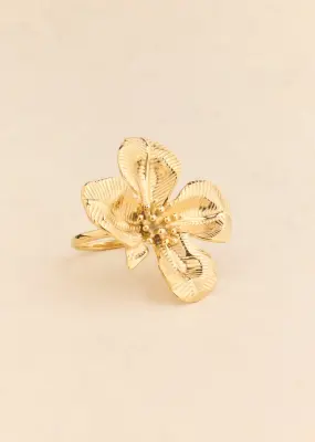 Bague Akma — photo 3