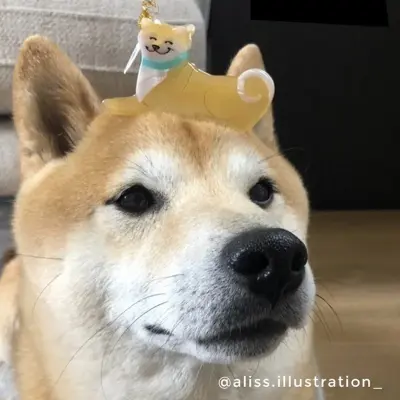Pince à cheveux Chien Shiba Coucou Suzette — photo 4
