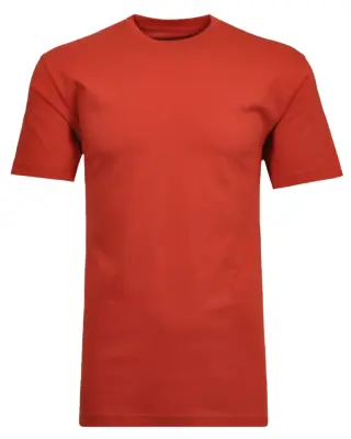 RAGMAN TEE SHIRT COL ROND GRANDE LONGUEUR Bordeaux — photo 2