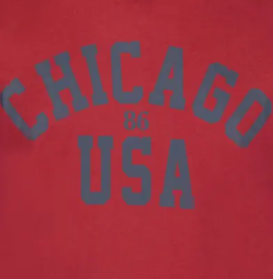 ADAMO TEE SHIRT CHICAGO Bordeaux — photo 4