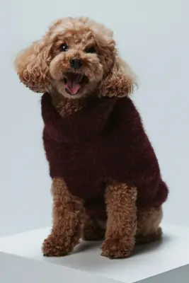Pull pour chien en maille duveteuse - Bordeaux — photo 1