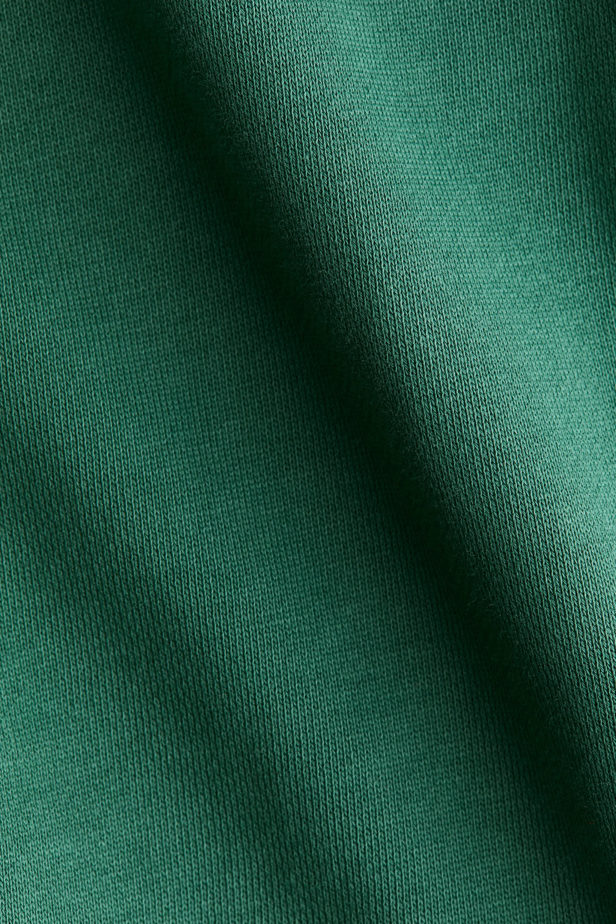 Cotton sweatshirt joggers - Vert