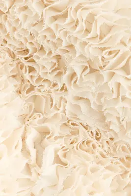 Ruffle-appliquéd jacket - Beige clair — photo 4