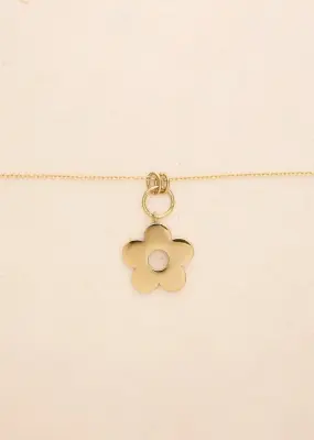Collier Eden — photo 4