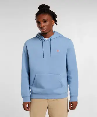 DICKIES SWEAT CAPUCHE Bleu ciel — photo 4
