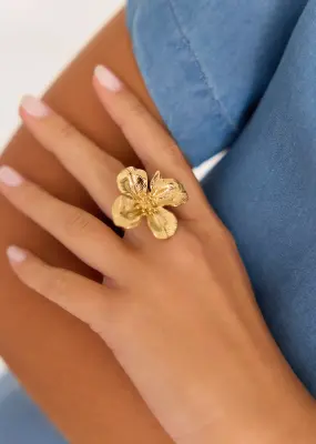 Bague Akma — photo 5