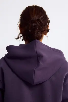 Hoodie de sport Regular Fit - Prune — photo 3