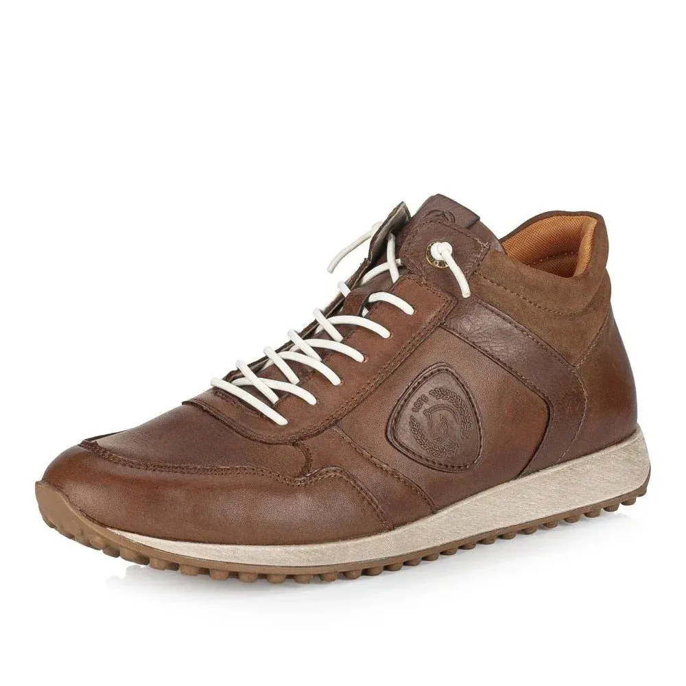 Baskets Remonte D3170-23 Marron - Lacets Élastiques Zip Grande Pointure Femme
