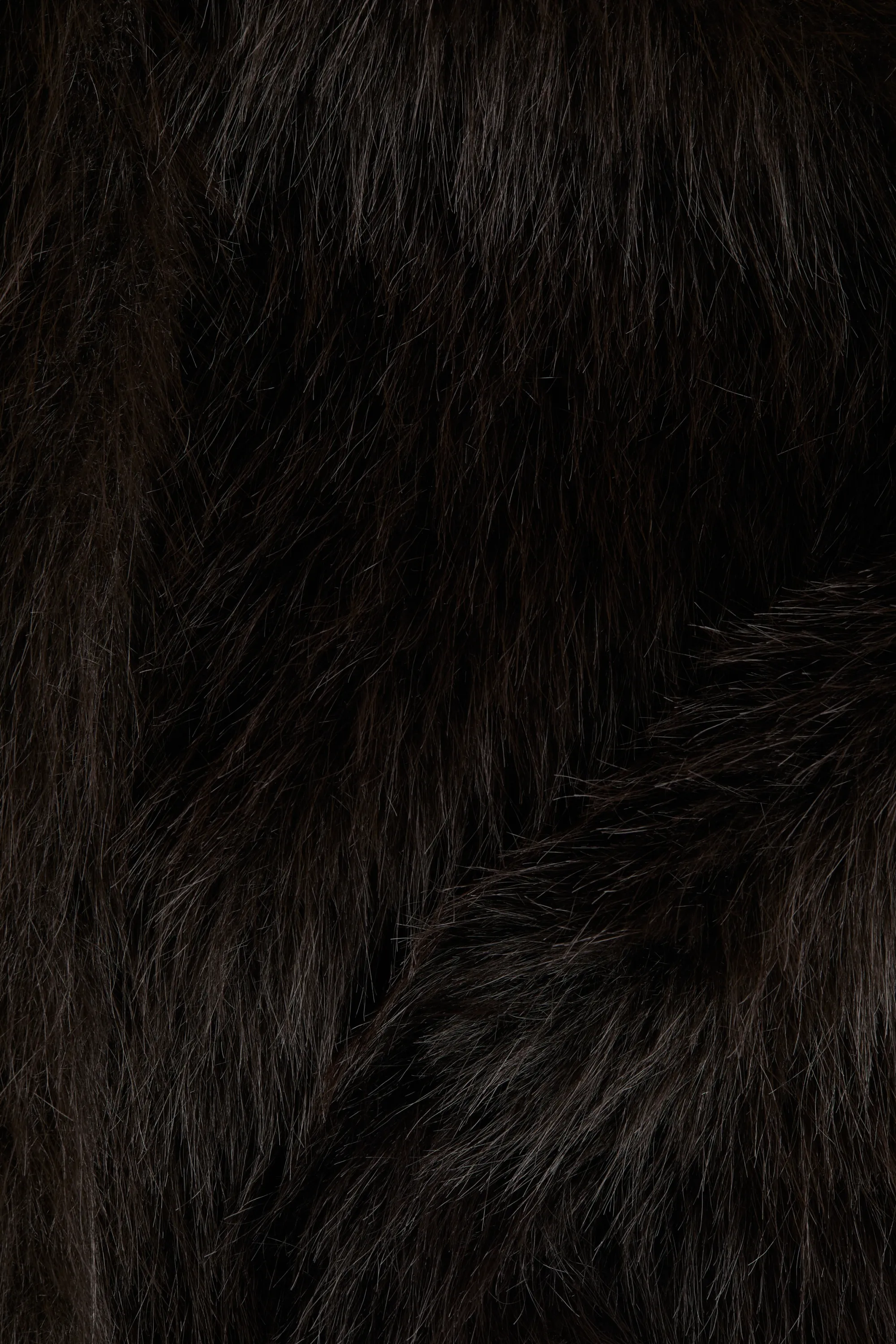 Veste - Marron foncé