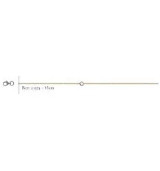 Collier plaque or