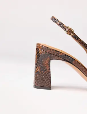 Ambre - Python — photo 4