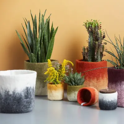 Cache-pot ombré en laine 8 cm – Aveva — photo 3