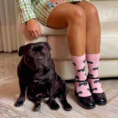 Chaussettes Staffie Coucou Suzette — photo 4
