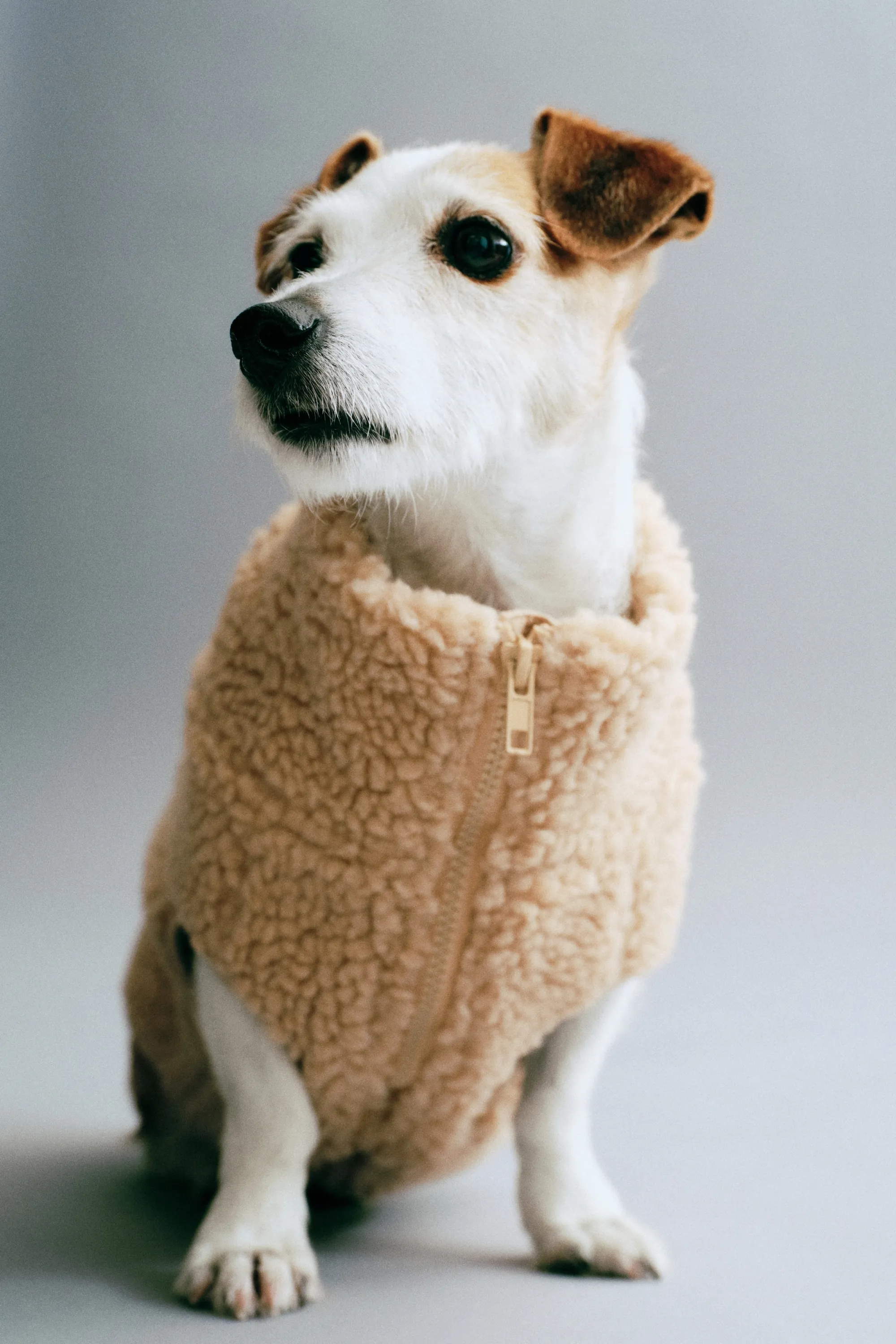 Manteau pour chien en tissu Teddy bear - Beige