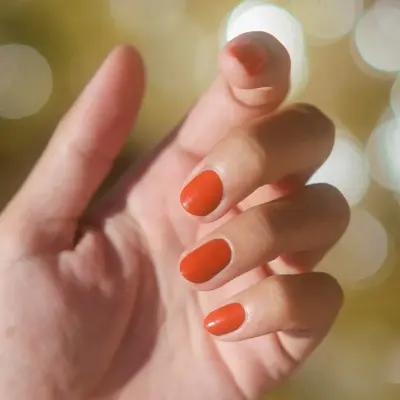 Vernis Terracotta — photo 5