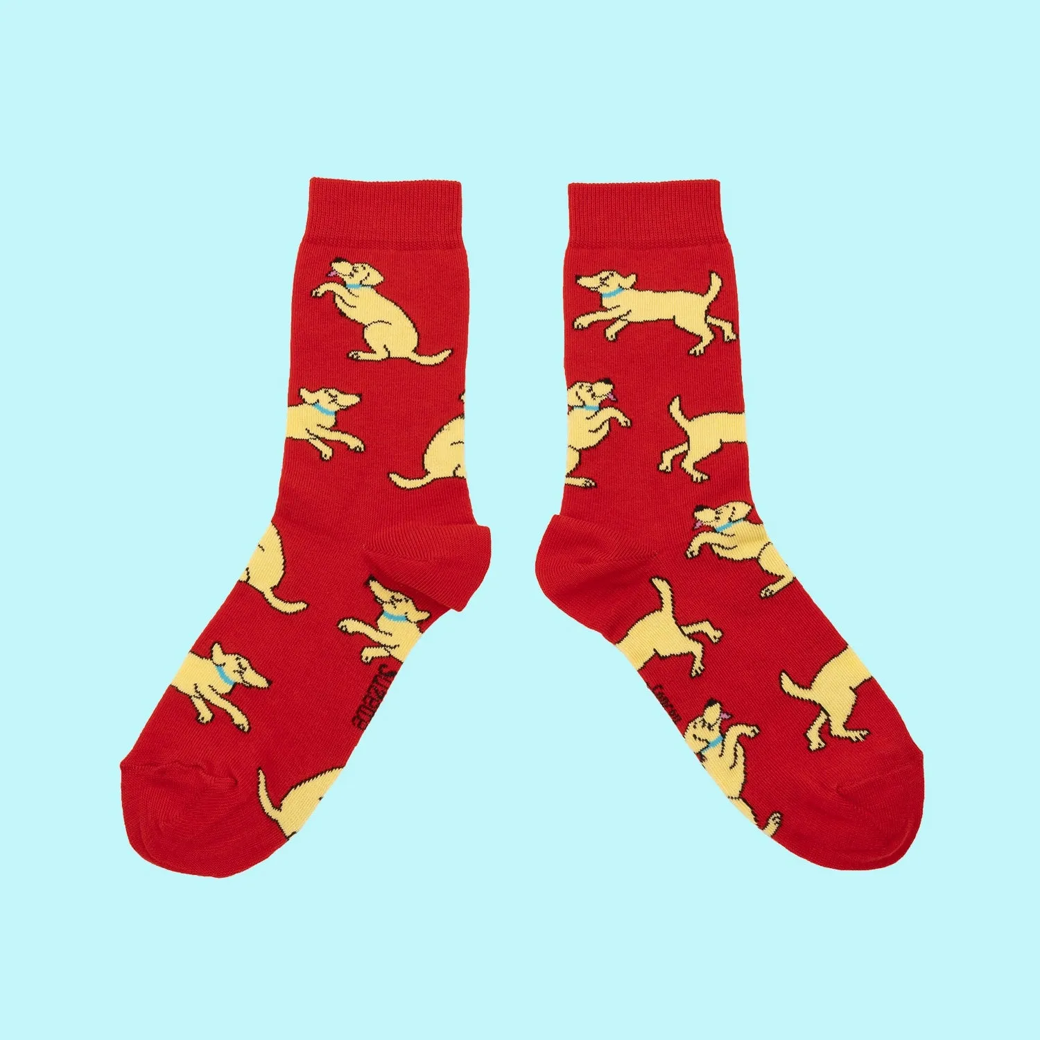 Chaussettes Golden Retriever Coucou Suzette