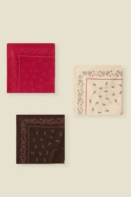 Foulard Nypette Paisley Sable — photo 4