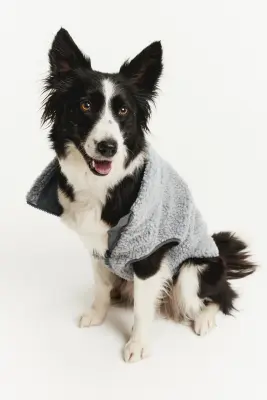 Veste pour chien en tissu Teddy bear - Gris clair — photo 3