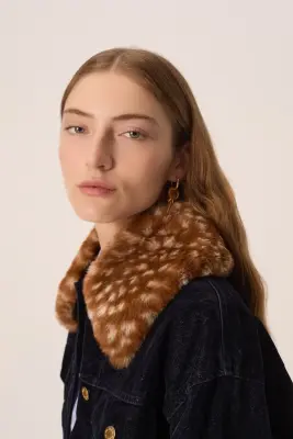 Col Mylo Fawn — photo 4