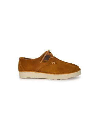 X Starcow Caden Center Chestnut Brown — photo 1