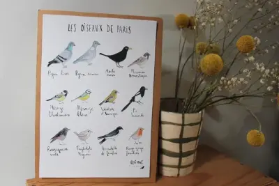 Affiche A5 Oiseaux de Paris – Ellimac Pinson — photo 2