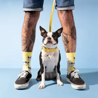 Chaussettes Bouledogue Coucou Suzette — photo 2