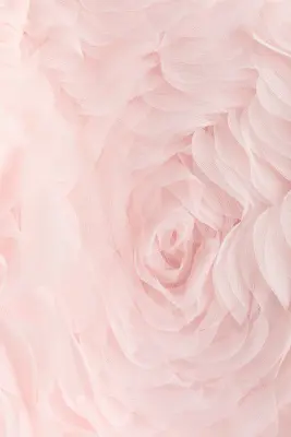 Veste courte avec application - Rose clair — photo 4