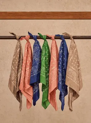 Foulard Cilian Rosette — photo 4